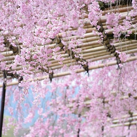 Guesthouse Kikokuan Kyoto Ngoại thất bức ảnh