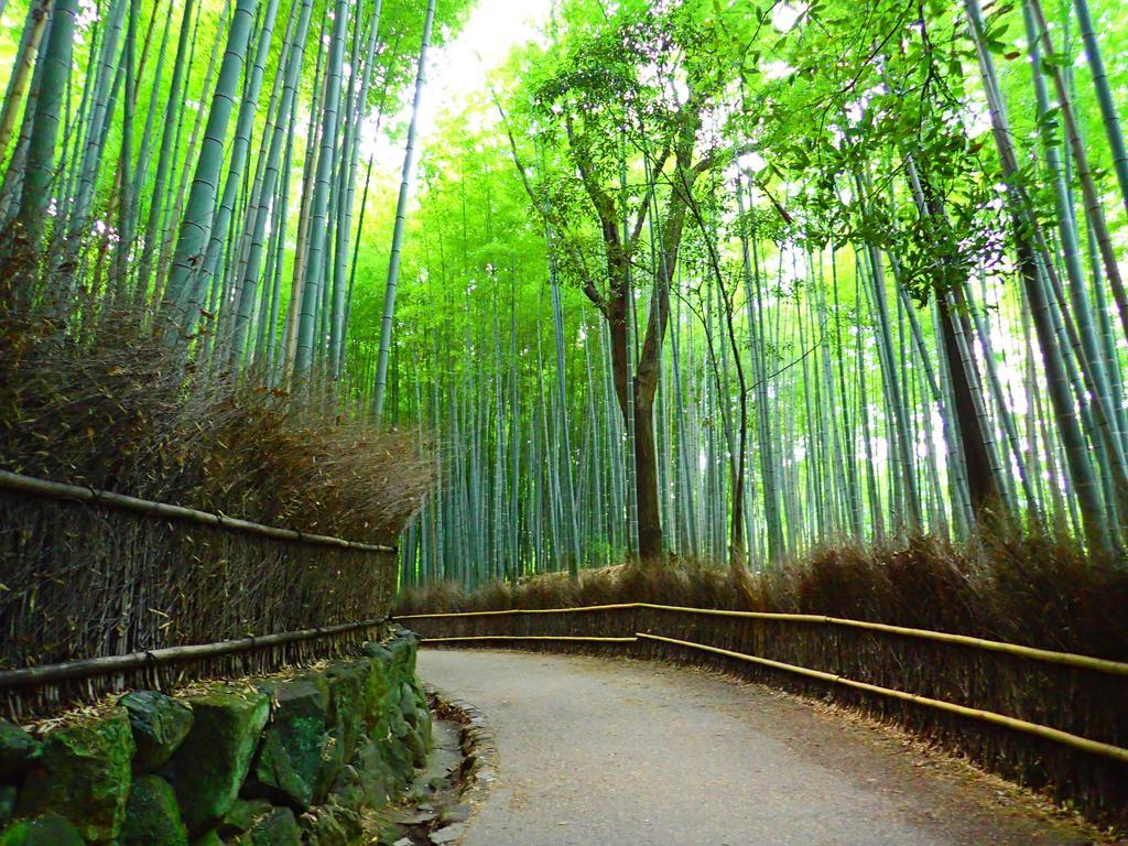 Guesthouse Kikokuan Kyoto Ngoại thất bức ảnh