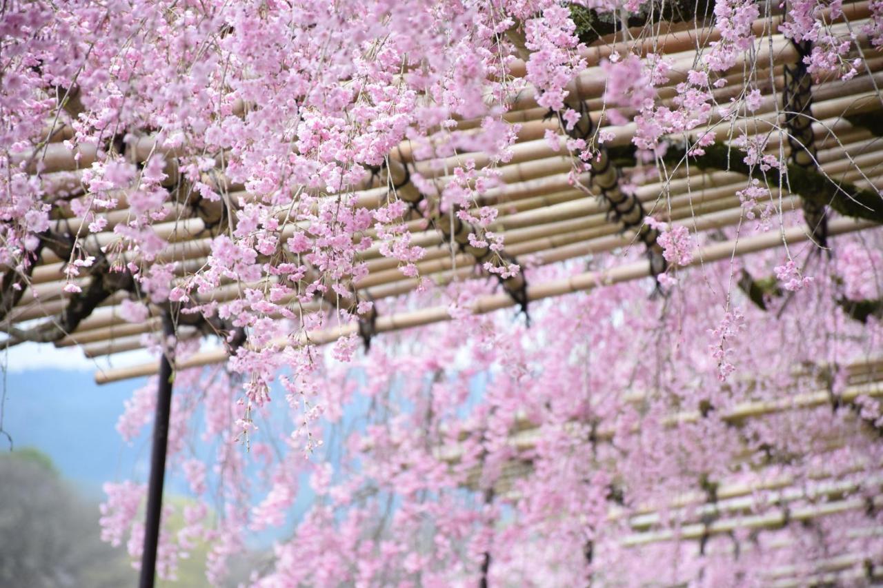 Guesthouse Kikokuan Kyoto Ngoại thất bức ảnh